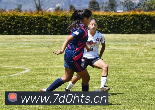 星空app官方登录入口平台生态图